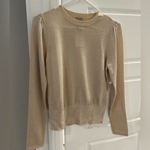 Silver Sparkly Sweater